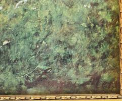 Nagy méretű aranyozott üvegezett fa keret Színyei Merse nyomattal 70x56 cm