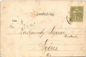 1905 Szilágycseh, Cehu Silvaniei; Községháza, állami polgári iskola télen, Korona bank, Liszt raktár...