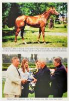 Farkasházy Tivadar: Overdose, a veretlen 11. DEDIKÁLT! Bp., 2008, Adwise Media. Fekete-fehér és szín...