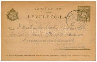 1905 Féregyház, Féregyháza, Fibis, Firiteaz, Firiteass (Arad); Vasilie Costi üzlete. Kézzel rajzolt ...