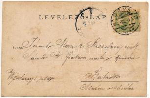 1902 Piski, Simeria; kirándulás az Bem szobornál / hiking at the monument. photo (EK)