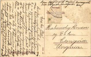 1930 Nagyszalonta, Salonta; Piata Unirii / Egyesülési tér, Schillinger Ferenc üzlete, Központi száll...