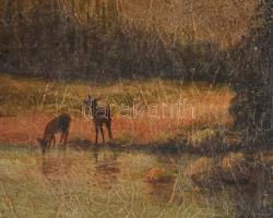 Jelzés nélkül: Erdei jelenet XX. sz. eleje. Olaj, vászon, dekoratív sérült keretben. Felület repedez...