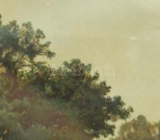 Nagy méretű tömör fa keret, nyomattal, üvegezett. Belső méret. 75x54 cm