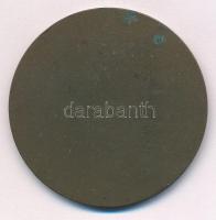 ~1970. "Lenin Kohászati Művek Diósgyőr 1770" bronz emlékérem (50mm) T:AU