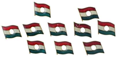 DN "Lyukas magyar zászló, 1956-os forradalom" műgyantás fém jelvény (10x) (20x25mm) T:UNC,AU