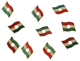 DN Lyukas magyar zászló, 1956-os forradalom műgyantás fém jelvény (10x) (20x25mm) T:UNC,AU