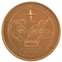 1995. (NATO) Partnership for Peace - Cooperative Light (Partnerség a békéért - közös fény) Újdörögd egyoldalas fém emlékérem tokban (42,5mm) T:UNC