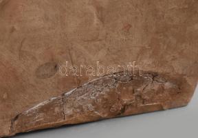 Vass Viktor (1873-1955): Krisztus fej. Mázas fajansz. Jelzett. Hátoldalt kis sérüléssel 34 cm