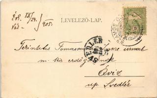 Szamosújvár, Gherla; Állami főgimnázium. Todorán Endre kiadása, Szecessziós montázs / school. Art No...