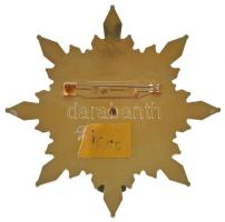 ~1990-2000. "Magyar Politikai Foglyok Szövetsége Érdemcsillag" aranyozott, zománcozott kit...