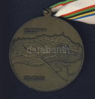 Németország 1991. "9. Olimpia - városi marathon" érdemérem T:2 szalaggal
