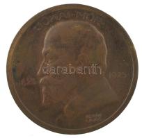 Berán Lajos (1882-1943) 1925. "Jókai Mór 1825 - 1925 / A nagy mesemondónak hálás nemzete" kétoldalas bronz emlékérem, "M. Kir. Pénzverő" gyártói jelzéssel (36mm) T:VF
