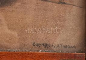 cca 1900 A meggyógyult katona. Nagy méretű litográfia, a képhez illeszkedő faragott és festett dekor...