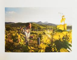 Erre inni kell! Egy kupa Badacsony. Szerk.: Simon Katalin. H.n., 2002, Nap, Szél és Csillagok Kft. G...