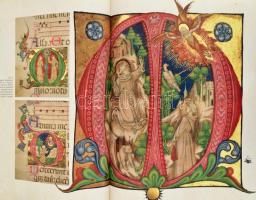 Monok István: Kincsek a nemzet könyvtárából. Bp., 2002, Magyar Könyvklub. Gazdag képanyaggal illuszt...