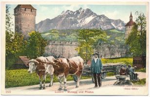 Lucerne, Luzern; Musegg und Pilatus / castle, mountain, cows (fl)