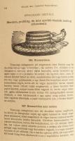 Zemplényi Szabó Antónia: Képes budapesti szakácskönyv. Sz. Hilaire Josefa, Kovács Irma, Dorn Anna, G...