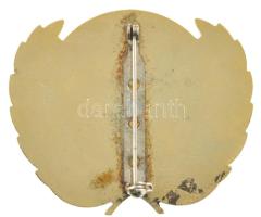 DN "ENSZ" zománcozott fém jelvény (54x47mm) T:XF
ND "UN" enamelled metal badge ...