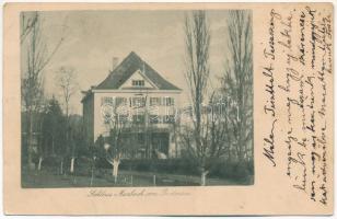 1903 Öhningen (Bodensee), Schloss Marbach / castle