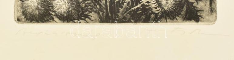Hertay Mária (1932-2018): Bogáncsvirág. Rézkarc, papír, jelzett, 63x19 cm