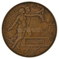 Beck Ötvös Fülöp (1873-1945) 1896. "1896-iki EZREDÉVES ORSZÁGOS KIÁLLÍTÁS / KIÁLLÍTÁSI ÉREM AZ ÉRDEM JUTALMÁUL" bronz emlékérem, adományozva a Corchus testvérek (Budapest) számára (70mm) T:XF ü., ph. HP 752
