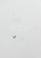 Alt Wien 1839 virágos tányér plasztikus mintákkal. Kézzel festett, jelzett, kopásokkal 24 cm