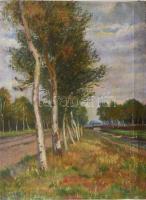 Jelzés nélkül: Folyómellék. XX. sz. eleje Olaj, vászon. 40x30 cm