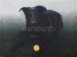 Japgon jelzéssel: Kutya labdával. Olaj, farost. 44x57 cm