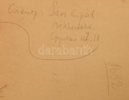 Sass Árpád (1896-1957): Cirkusz. Pasztell. papír. Jelzett .34x45 cm Üvegezett keretben / pastell on ...