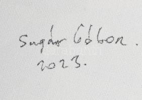 Sugár Gábor (1976-): Motoros. Akril, vászon, jelzett, hátoldalán autográf felirattal és a művész bél...