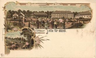 Félixfürdő with Railway station litho