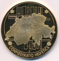 Svájc DN "1000.-banknote seit 1998" aranyozott fém emlékérem 1000Fr svájci bankjegy multic...