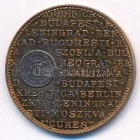 1978. "Naptár" bronz emlékérem (24mm) T:AU patina