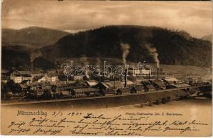 1914 Mürzzuschlag (Steiermark), Phönix-Stahlwerke John. E. Bleckmann / steel factory