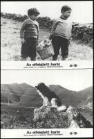 cca 1989 előtt készült ,,Elfelejtett barát" című szovjet film jelenetei és szereplői, 5 db vintage produkciós filmfotó ezüst zselatinos fotópapíron, a használatból eredő (esetleges) kisebb hibákkal, 18x24 cm