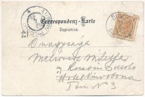 1898 (Vorläufer) Divaca, Divacca, Divaccia; St. Canzian / Skocjan, railway station. Art Nouveau, flo...