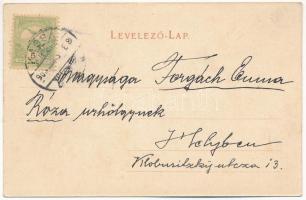 1903 Kassa, Kosice; Jégpálya télen. Nyulászi Béla kiadása / ice skating hall in winter