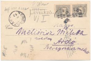 1898 (Vorläufer) Lőcse, Levoca; Szecessziós montázs I. Ferenc József arcképével / Art Nouveau, flora...
