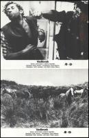 cca 1980 ,,Vadlovak" című Új-Zéland-i kalandfilm jelenetei és szereplői, 9 db vintage produkciós filmfotó ezüst zselatinos fotópapíron, a használatból eredő (esetleges) kisebb hibákkal, 18x24 cm