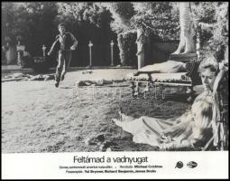 cca 1973 ,,Feltámad a vadnyugat" című amerikai kalandfilm jelenetei és szereplői, 7 db vintage ...