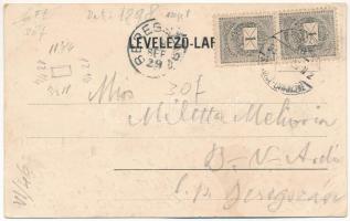 1898 (Vorläufer) Csap, Cop, Chop; Garai Lak, gyógyszertár, híd, éttermi különlegesség (halak). Storc...