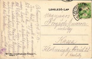 1916 Petrozsény, Petrosany, Petrosani; Salgótarjáni szénosztályozó, iparvasút. Máv. levelezőlapárusí...