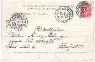 1897 (Vorläufer) Tallin, Reval; Der lange Hermann, St. Olai, Das Schwarzenhäupferhaus, Klosterruint ...