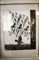 cca 1920 és 1989 között készült felvételek sokféle témáról, 424 db vintage NEGATÍV, egy része a táro...