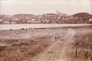 cca 1920 és 1989 között készült felvételek sokféle témáról, 424 db vintage NEGATÍV, egy része a táro...