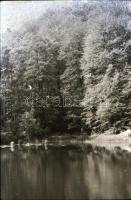 cca 1920 és 1989 között készült felvételek sokféle témáról, 424 db vintage NEGATÍV, egy része a táro...