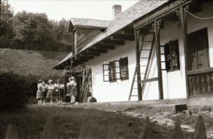 cca 1920 és 1989 között készült felvételek sokféle témáról, 424 db vintage NEGATÍV, egy része a táro...