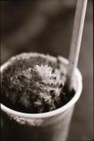 cca 1920 és 1989 között készült felvételek sokféle témáról, 424 db vintage NEGATÍV, egy része a táro...