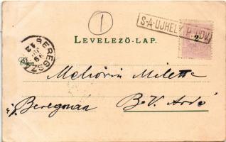 1899 (Vorläufer) Sátoraljaújhely, M. kir. államvasutak (MÁV) gyártelepe, dohánygyár, városháza. Lövy...